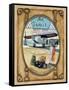 Flight Souvenir-Gregory Gorham-Framed Stretched Canvas