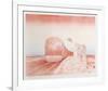 Flight-Susan Hall-Framed Limited Edition