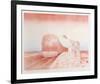 Flight-Susan Hall-Framed Limited Edition