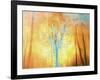 Flight-Viviane Fedieu Daniel-Framed Photographic Print