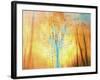 Flight-Viviane Fedieu Daniel-Framed Photographic Print