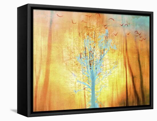 Flight-Viviane Fedieu Daniel-Framed Stretched Canvas