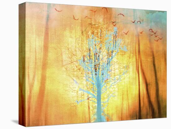 Flight-Viviane Fedieu Daniel-Stretched Canvas