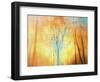 Flight-Viviane Fedieu Daniel-Framed Photographic Print