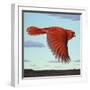 Flight-James W. Johnson-Framed Giclee Print