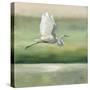 Flight-Julia Purinton-Stretched Canvas
