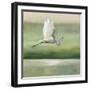 Flight-Julia Purinton-Framed Art Print