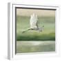 Flight-Julia Purinton-Framed Art Print