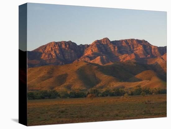 Flinders Ranges, Flinders Ranges National Park, South Australia, Australia, Pacific-Schlenker Jochen-Stretched Canvas