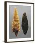 Flint Arrowheads, from Friuli-Venezia Giulia Region, Italy-null-Framed Giclee Print