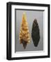 Flint Arrowheads, from Friuli-Venezia Giulia Region, Italy-null-Framed Giclee Print