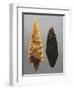 Flint Arrowheads, from Friuli-Venezia Giulia Region, Italy-null-Framed Giclee Print