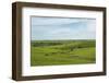 Flint Hills of Kansas-Michael Scheufler-Framed Photographic Print