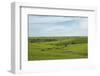 Flint Hills of Kansas-Michael Scheufler-Framed Photographic Print