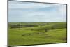 Flint Hills of Kansas-Michael Scheufler-Mounted Photographic Print