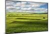 Flint Hills of Kansas-Michael Scheufler-Mounted Photographic Print