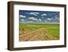 Flint Hills of Kansas-Michael Scheufler-Framed Photographic Print