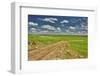 Flint Hills of Kansas-Michael Scheufler-Framed Photographic Print