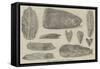 Flint Implements Found in Ireland-null-Framed Stretched Canvas