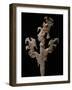 Flints, Maya, Copan, Honduras-Kenneth Garrett-Framed Photographic Print