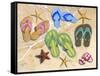 Flip-Flip Family-Scott Westmoreland-Framed Stretched Canvas