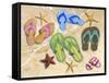 Flip-Flip Family-Scott Westmoreland-Framed Stretched Canvas