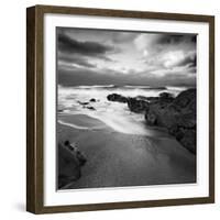 Flipbird-David Baker-Framed Photographic Print