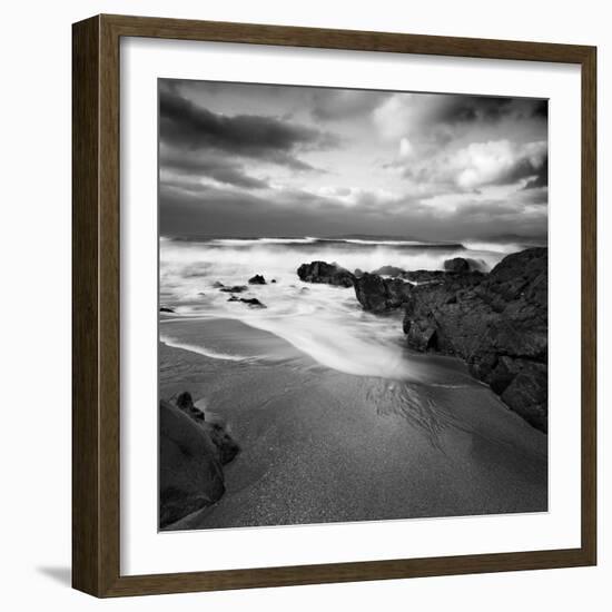 Flipbird-David Baker-Framed Photographic Print