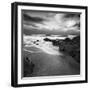 Flipbird-David Baker-Framed Photographic Print