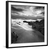 Flipbird-David Baker-Framed Photographic Print