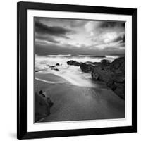 Flipbird-David Baker-Framed Photographic Print