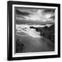 Flipbird-David Baker-Framed Photographic Print