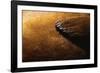 Flipper and Fur of Southern Elephant Seal-null-Framed Photographic Print