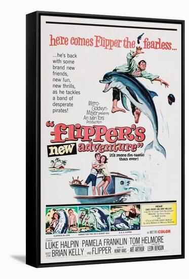 Flipper's New Adventure (aka Flipper and the Pirates)-null-Framed Stretched Canvas