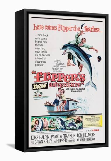 Flipper's New Adventure (aka Flipper and the Pirates)-null-Framed Stretched Canvas