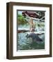 Flipper-null-Framed Photo