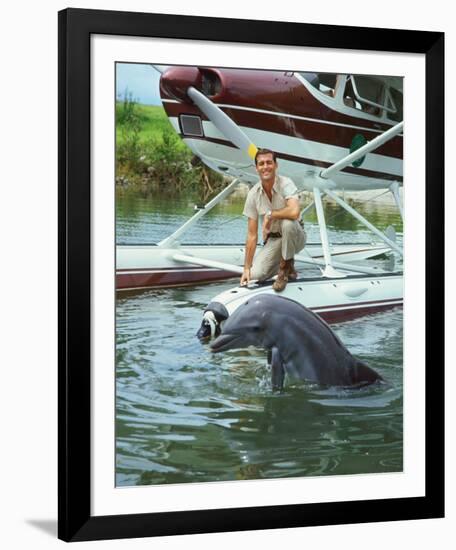 Flipper-null-Framed Photo