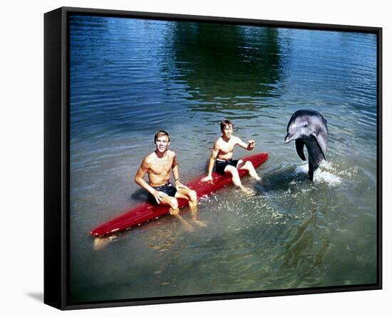 Flipper-null-Framed Stretched Canvas