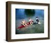 Flipper-null-Framed Photo