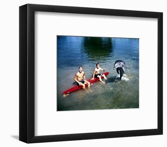 Flipper-null-Framed Photo