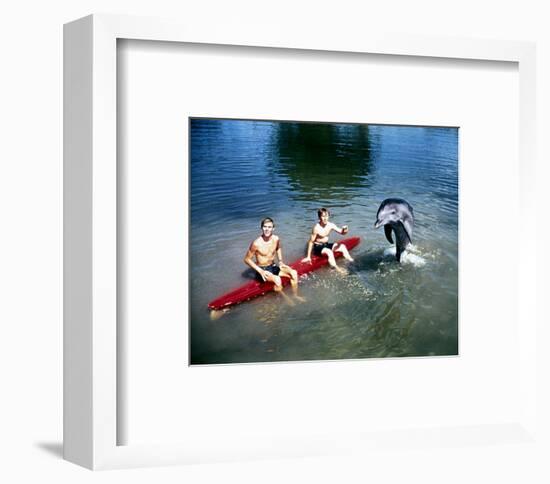 Flipper-null-Framed Photo