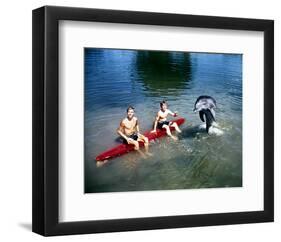 Flipper-null-Framed Photo