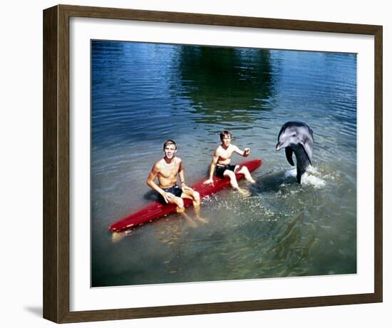 Flipper-null-Framed Photo