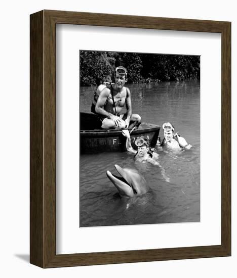 Flipper-null-Framed Photo