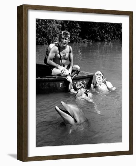 Flipper-null-Framed Photo