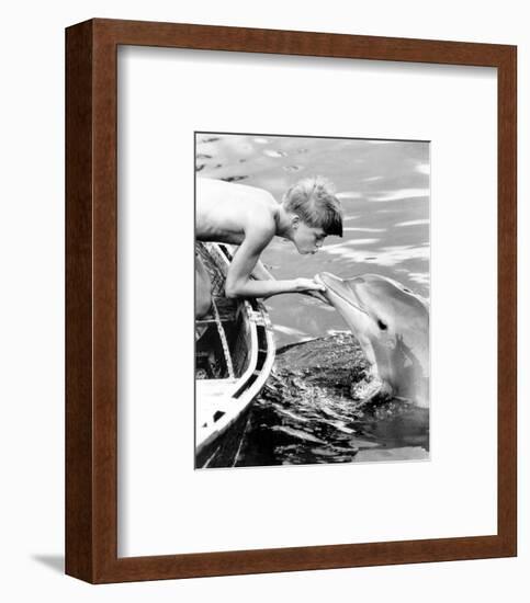 Flipper-null-Framed Photo