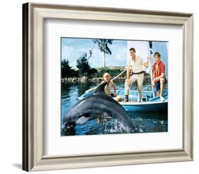 Flipper-null-Framed Photo