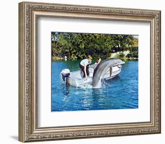 Flipper-null-Framed Photo