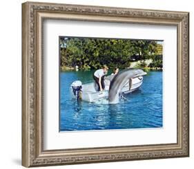 Flipper-null-Framed Photo