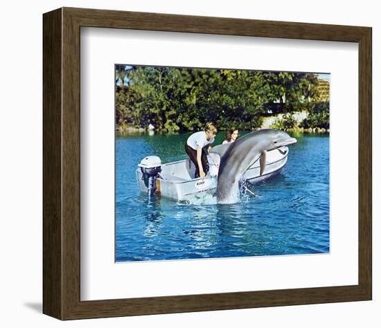 Flipper-null-Framed Photo